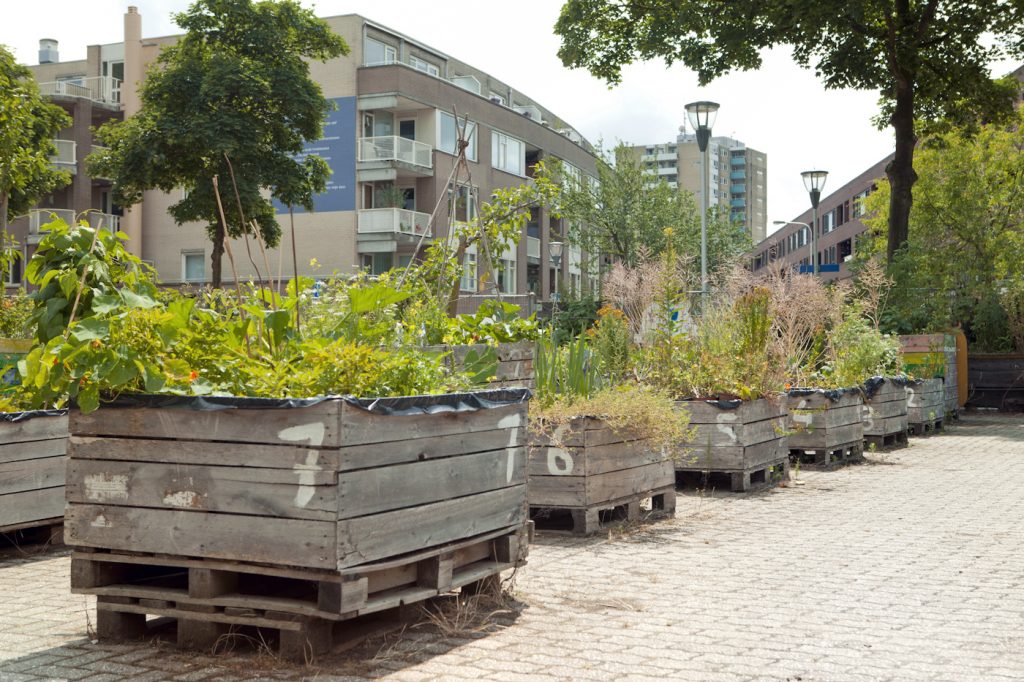 Stadshoeve de Tuin